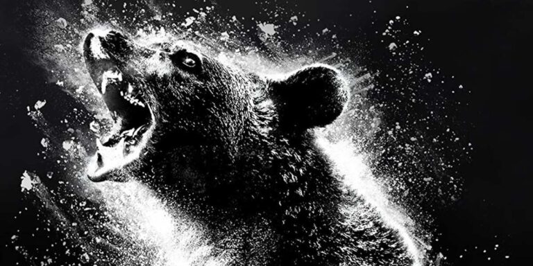 Oso vicioso o cocaine bear, detalle del cartel oficial