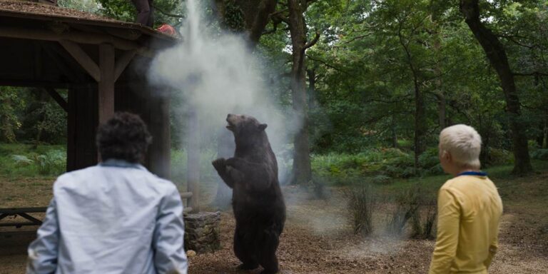 Fotograma de 'Oso vicioso'