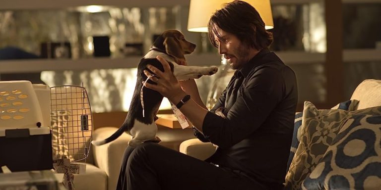 John Wick con su Daisy