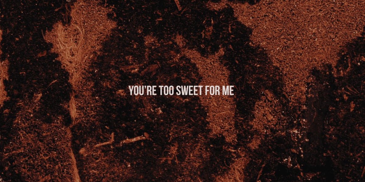 Letra de Too Sweet, de Hozier (inglés y español)