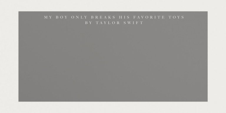 Significado de My Boy Only Breaks His Favorite Toys, de Taylor Swift